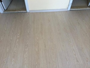 1010887_870487196299731_1085465909459872453_n