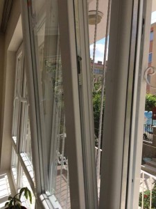 10155531_851946928153758_2527991973762114674_n