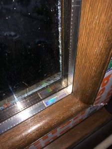 10322751_879842465364204_8597418424976417322_n