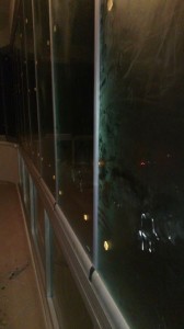 252179_10151351877303147_1707558603_n