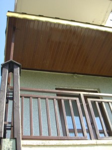 390951_332693473412442_238815753_n