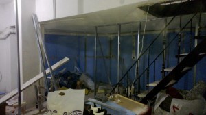 735629_10151351880478147_619454807_o