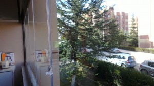 830496_10151490452253147_43584952_o